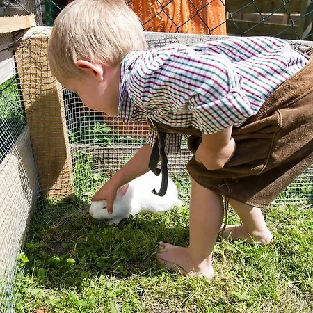 Haarlehenhof Grossarl