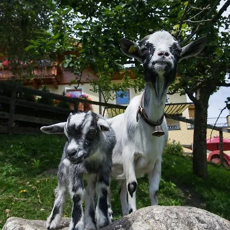Haarlehenhof Alojamento de Turismo Rural Grossarl