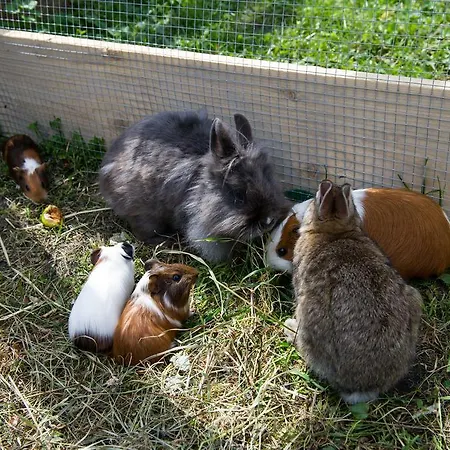 Farm stay Haarlehenhof *