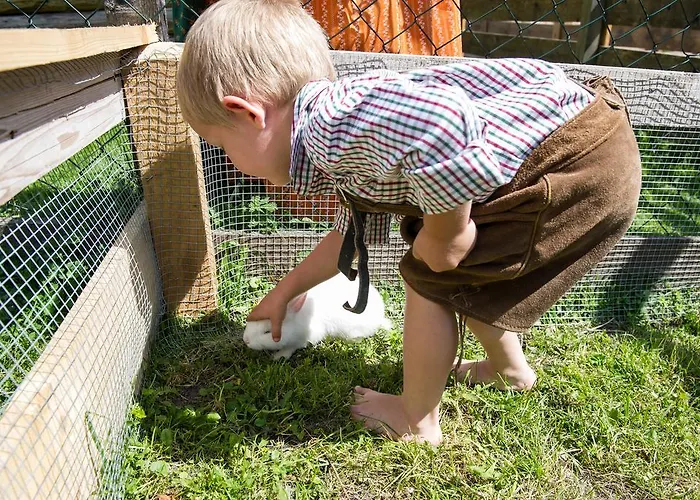 Haarlehenhof Grossarl