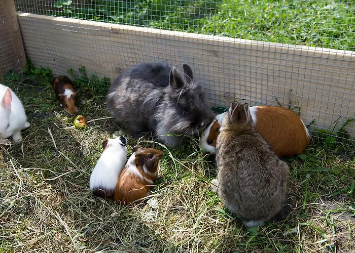 Farma Haarlehenhof *